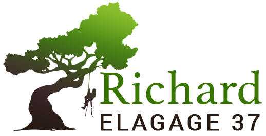 Richard 2 elagage 37